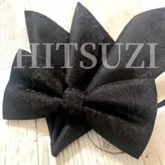 Item thumbnail for item cb3d5036-520e-4915-8eea-a0fbca514ae1