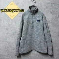 パタゴニア ライトベターセーター ハーフジップジャケット レディース S 110