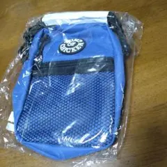 BUMP ツアーグッズ　ショルダーバッグ　ブルー