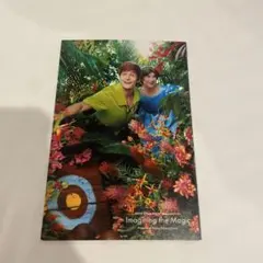 ディズニーセレブレーションホテル特典 ポストカード