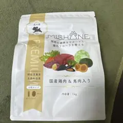 Item thumbnail for item c9dff71a-3697-4309-b7fa-d33363f67e6b