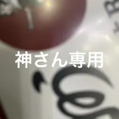 専用出品