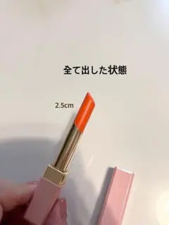 美品クレドポーボーテ　マニフィカトゥールレーブルn 3コーラル