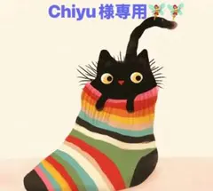 Chiyu様 リクエスト 2点 まとめ商品