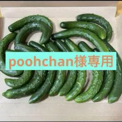 poohchan様専用