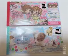 お札メモ帳　女の子　キューティーベリー　わんこ　犬　動物　アニマル