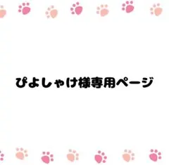 ぴよしゃけ様 リクエスト 2点 まとめ商品