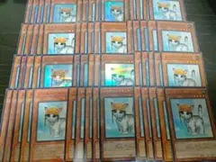 遊戯王 パーツ 60枚 レスキューキャット
