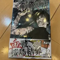 呪術廻戦 22