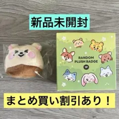 NCT DREAM Dreamiez ランダムぬいぐるみバッジ チソン - メルカリ