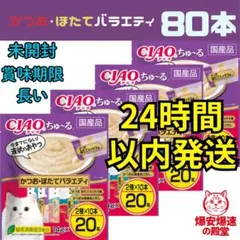 Item thumbnail for item 000c4e94-40e3-46b3-8fad-b70f155db426