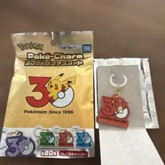 ポケモン 30周年ロゴマスコット ヒトカゲ キーホルダー