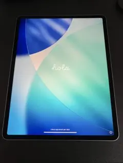 2026年最新】Apple モデル名：iPad Air (第6世代) 13インチ iPad本体の