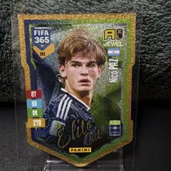 ニコ・パス アルゼンチン代表 FIFA365アドレナリンXL カード