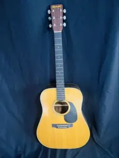 Item thumbnail for item 9b9d0886-8dcb-4e89-a246-4f65185e1a0e