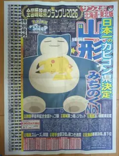 サンケイスポーツ特別号外