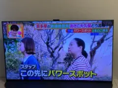 ☆美品中古☆SONY BRAVIA XRJ-65X95K - メルカリ