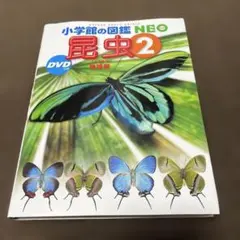 小学館の図鑑NEO昆虫 2（DVD.付録付き）