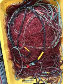 テグス 漁業 大型魚 ハンドメイド 釣り糸 ライン - メルカリ