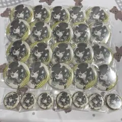 シャニマス よみうりランド よみラン オーロラ缶バッジ 市川雛菜 ノクチル シャニマス よみうりランド よみラン オーロラ缶バッジ 市川雛菜
