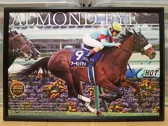 競馬 アーモンドアイ パネル 殿堂の父子