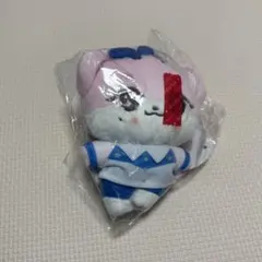 IVE エバーランド限定 ぬいぐるみ イソ ERANG-G イランイ - メルカリ