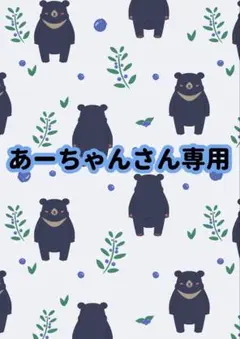 あーちゃんさん専用ページ