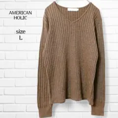 ​アメリカンホリック ニットセーター リブ Vネック 茶 L キレイめ 春