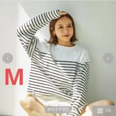 Item thumbnail for item 73064710-2ee4-441d-bb80-9dfe90e7e3fb