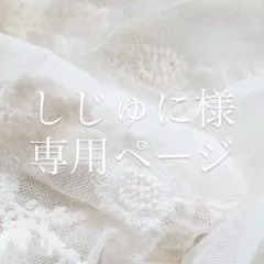 しじゅに様専用ページ