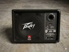 PEAVEY DTH 4215 フルレンジスピーカー - メルカリ