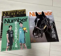 Number1129 新品未使用  ナンバー 雑誌