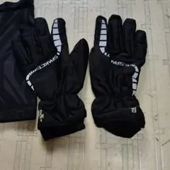 Item thumbnail for item 4ef17761-b234-4bd7-be2d-a953dd556db4