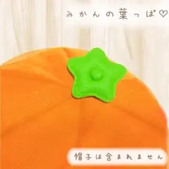 RM様 リクエスト 2点 まとめ商品