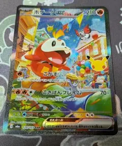 ホゲータ　SAR