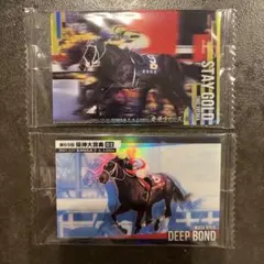 Thoroughbred Horse Collection 2枚セット