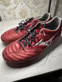 ミズノ モナルシーダ