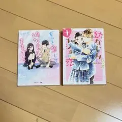 野いちご文庫 4冊セット