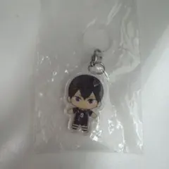 ハイキュー　ふらっとめじるしアクセサリー　影山飛雄 新品未使用