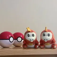 ポケモン ぬいぐるみバッジ ホゲータ 2点まとめ