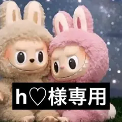 h♡専用ページ D夜光