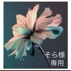 そら様　専用