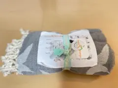 Item thumbnail for item 745e35c5-454a-4a83-ab82-13869ae97443