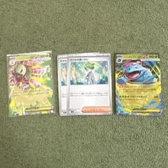 メガメガニウム　メガフシギバナ　ポケモンカード