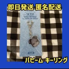 2026年最新】straykids ペンライト キーリングの人気アイテム - メルカリ