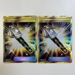 【大特価】ポケモンカード フィールドブロアー UR 2枚まとめ売り 大特価】ポケモンカード フィールドブロアー UR 2枚セット - メルカリ