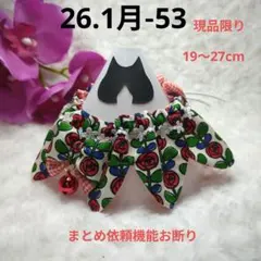 Item thumbnail for item 126de283-45ba-4489-9b5a-f2bb440e9c09