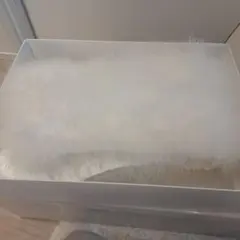 Item thumbnail for item 22921246-0b85-43df-b1b3-2aaff457f028