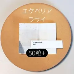 2026年最新】koehresの人気アイテム - メルカリ
