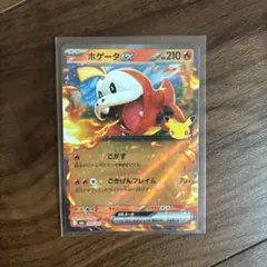 ポケモンカード ホゲータex RR